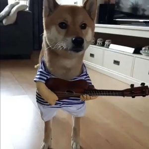 Meet your Posher, Kellie